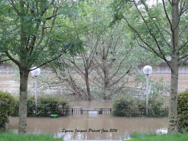 Visio conférence sur le thème « Les crues de la Seine à Paris depuis 1910 »