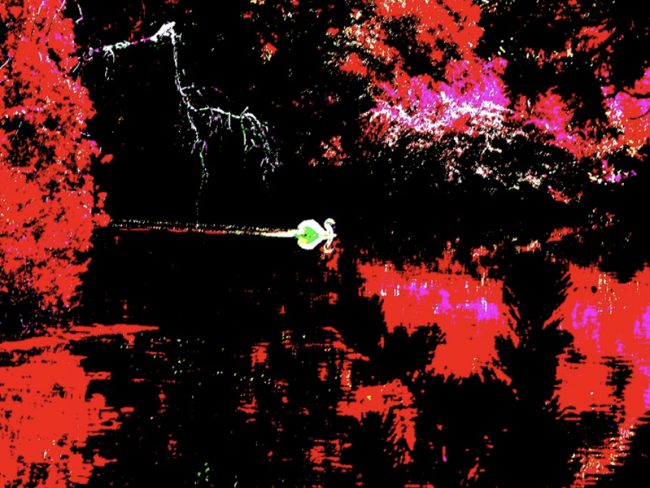 ADRIJ : Club Photos de l’Adrij: Exposition du jeudi 12 mai 2022 au samedi 14 mai 2022.