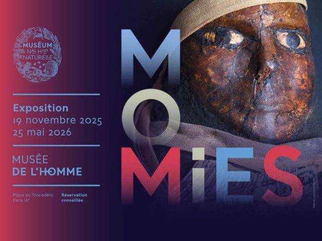 Visite de l’exposition « Momies » le vendredi 22 mai 2026