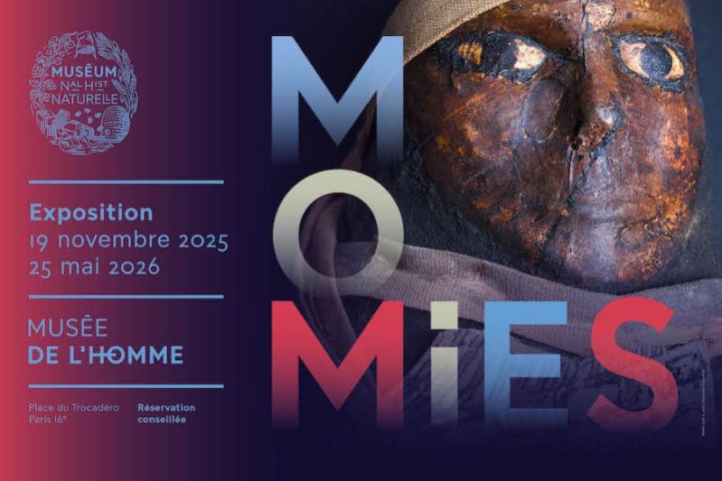 Visite de l’exposition « Momies » le vendredi 22 mai 2026